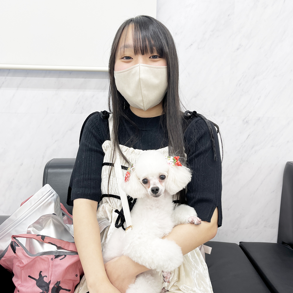 モデル犬の新しいおうちが決まりました！PART③